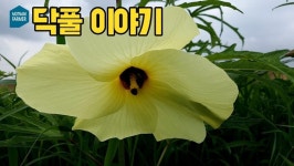 열려라! 즐거운 화학세상