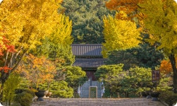 어사박문수 테마길 < 역사문화테마길 < 추천여행 < 문화관광  어사박문수 테마길 > 역사문화테마길 > 추천여행 >