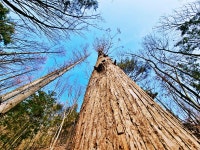 [ 추천여행기 < 여행리포트 ]