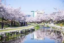 [ 추천여행기 < 여행리포트 ]