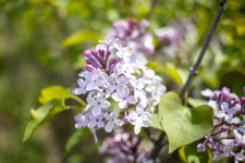 [ 관광체험기 < 여행리포트 ]