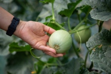 [ 먹거리추천 < 여행리포트 ]