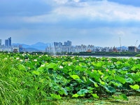 [ 먹거리추천 < 여행리포트 ]