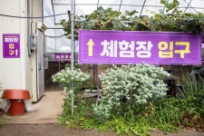 [ 추천여행기 < 여행리포트 ]