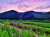 [ 먹거리추천 < 여행리포트 ]