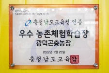 [ 먹거리추천 < 여행리포트 ]