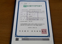 [ 관광체험기 < 여행리포트 ]