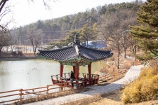 [ 먹거리추천 < 여행리포트 ]