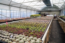 [ 추천여행기 < 여행리포트 ]