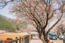 [ 먹거리추천 < 여행리포트 ]