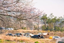 [ 먹거리추천 < 여행리포트 ]