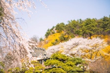 [ 먹거리추천 < 여행리포트 ]