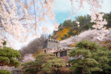 [ 먹거리추천 < 여행리포트 ]