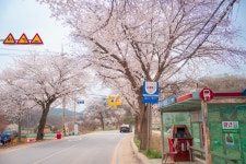 [ 먹거리추천 < 여행리포트 ]