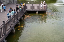 [ 시민리포터 기사 < 시민리포터 < 시민참여 ] 천안시청