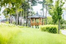 [ 시민리포터 기사 < 시민리포터 < 시민참여 ] 천안시청