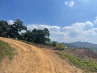 [ 관광체험기 < 여행리포트 ]