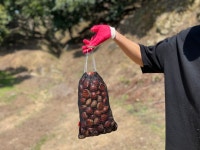 [ 관광체험기 < 여행리포트 ]