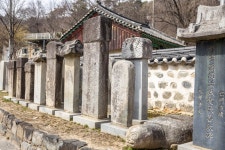 [ 먹거리추천 < 여행리포트 ]