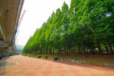 [ 먹거리추천 < 여행리포트 ]