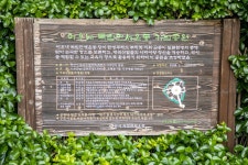 [ 시민리포터 기사 < 시민리포터 < 시민참여 ] 천안시청