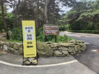 [ 먹거리추천 < 여행리포트 ]