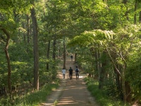 [ 시민리포터 기사 < 시민리포터 < 시민참여 ] 천안시청