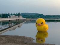 [ 추천여행기 < 여행리포트 ]