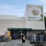 [ 먹거리추천 < 여행리포트 ]