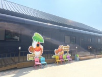 [ 시민리포터 기사 < 시민리포터 < 시민참여 ] 천안시청