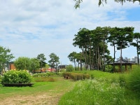 [ 시민리포터 기사 < 시민리포터 < 시민참여 ] 천안시청