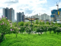 [ 시민리포터 기사 < 시민리포터 < 시민참여 ] 천안시청