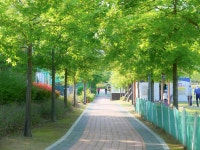 [ 시민리포터 기사 < 시민리포터 < 시민참여 ] 천안시청