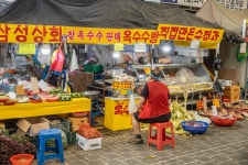 [ 먹거리추천 < 여행리포트 ]