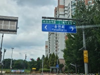 [ 먹거리추천 < 여행리포트 ]