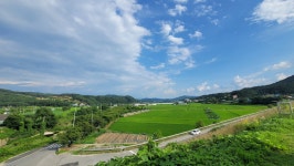 [ 시민리포터 기사 < 시민리포터 < 시민참여 ] 천안시청