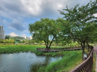 [ 시민리포터 기사 < 시민리포터 < 시민참여 ] 천안시청