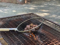 [ 시민리포터 기사 < 시민리포터 < 시민참여 ] 천안시청