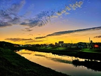 [ 시민리포터 기사 < 시민리포터 < 시민참여 ] 천안시청