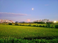 [ 시민리포터 기사 < 시민리포터 < 시민참여 ] 천안시청