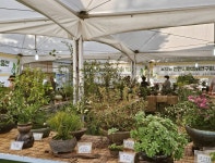 [ 시민리포터 기사 < 시민리포터 < 시민참여 ] 천안시청