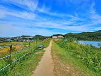 [ 시민리포터 기사 < 시민리포터 < 시민참여 ] 천안시청