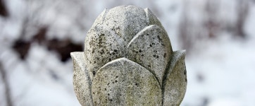 겨울의 온도 광덕산,광덕사