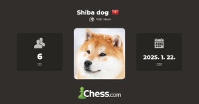 Shiba dog - 체스 클럽 - Chess.com Shiba dog - 체스 클럽