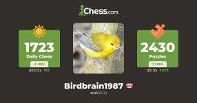 birdbrain1987 - 체스 프로필 - Chess.com birdbrain1987 - 체스 프로필