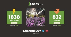 WFM sharon1407 - 체스 프로필 - Chess.com WFM sharon1407 - 체스 프로필