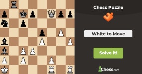 이런 건 수비 테마라고 봐야 하나 - 체스 마이너 갤러리