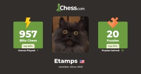 Chess Master (Etamps) - Chess Profile - Chess.com Chess Master (Etamps) - Chess Profile