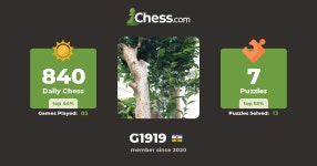 Clément (g1919) - Chess Profile - Chess.com Clément (g1919) - Chess Profile