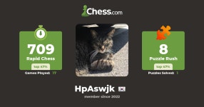 희우 (hpAswjk) - Chess Profile - Chess.com 희우 (hpAswjk) - Chess Profile